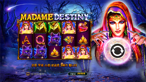 와일드맨 슈퍼 보난자